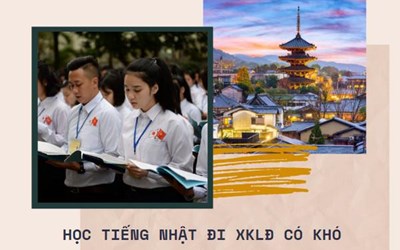 Học Tiếng Nhật Đi Xuất Khẩu Lao Động Nhật Bản: Lộ Trình Từ Con Số 0