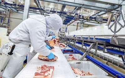 TUYỂN 03 NỮ CHẾ BIẾN THỰC PHẨM( chế biến thịt,...)