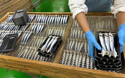 Tuyển 2 Nữ chế biến thủy sản( chế biến thủy sản, phơi cá khô)