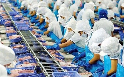 Tuyển 7 Nữ chế biến thủy sản