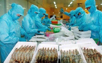 TUYỂN 04 NỮ CHẾ BIẾN THỰC PHẨM ( sò điệp, tôm,...)