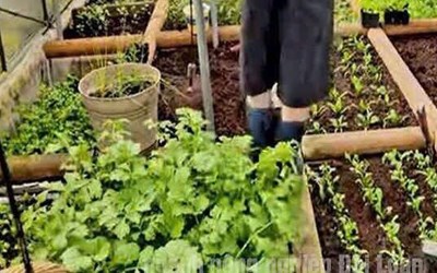 TUYỂN 4 NAM NÔNG NGHIỆP