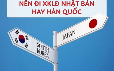 Nên học tiếng Hàn hay tiếng Nhật hướng nào cơ hội và việc làm tốt hơn